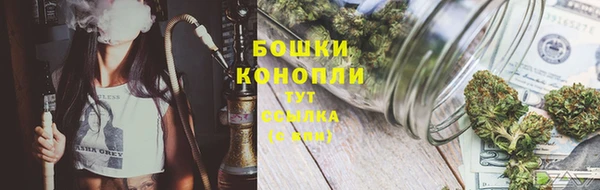 PSILOCYBIN Магас
