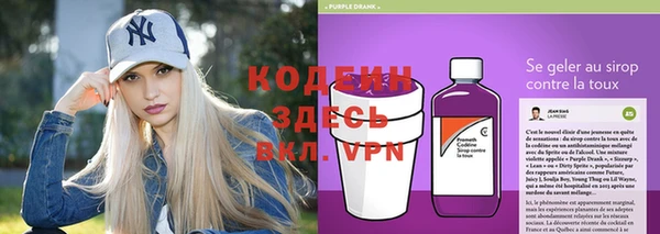гашик Горняк