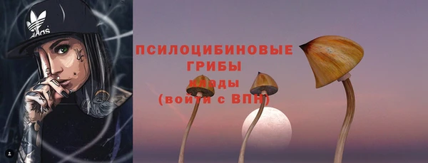 не бодяженный Горнозаводск