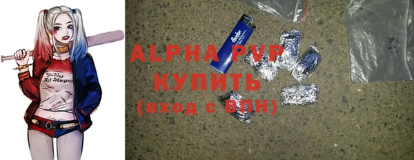 гашик Горняк