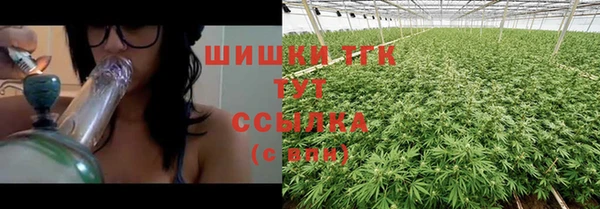 стаф Киселёвск