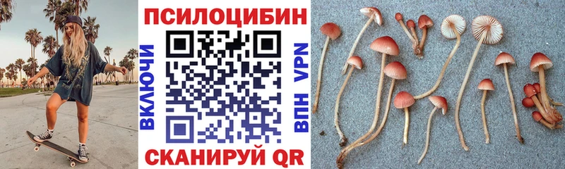 Галлюциногенные грибы Cubensis  где продают наркотики  Медногорск 