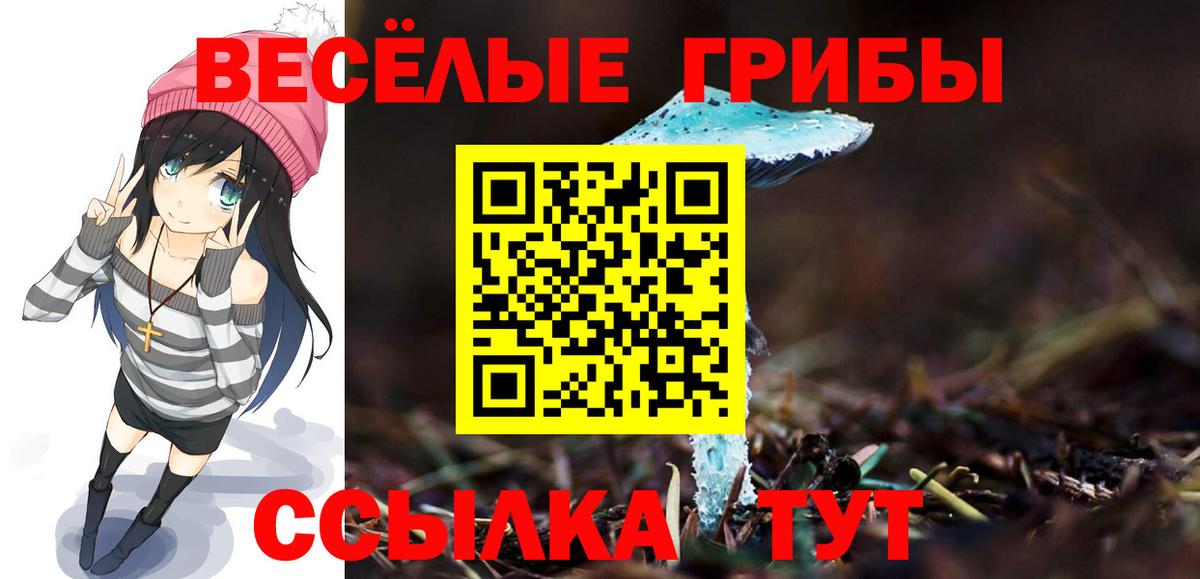 Галлюциногенные грибы Magic Shrooms  Галлюциногенные грибы Psilocybe  магазин    Медногорск  Вход с VPN 